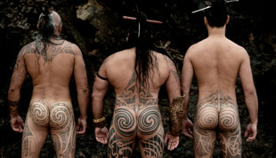 Travel Essence - Maori 