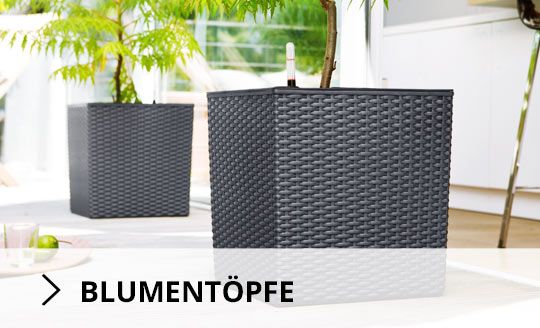 Blumentoepfe
