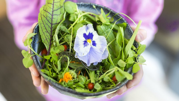  Salat ja, Ei nein: Wer sich vegan ernährt, verzichtet komplett auf Nahrung tierischen Ursprungs. © Sandra Roesch/plainpicture