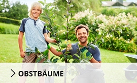 obstbäume