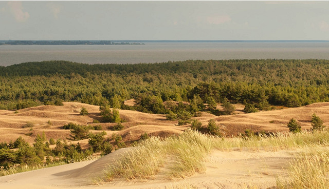 Baltikum - Karge Landschaft