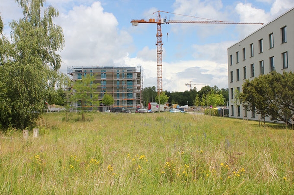 Weiter auf dem Weg in die ökologische Sackgasse Landesentwicklungsplan ist eine Katastrophe für die Umwelt