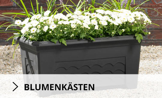 fruehlingsstart