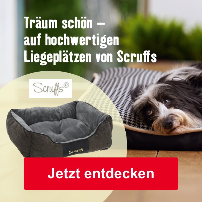 Träum schön - auf hochwertigen Liegeplätzen von Scruffs