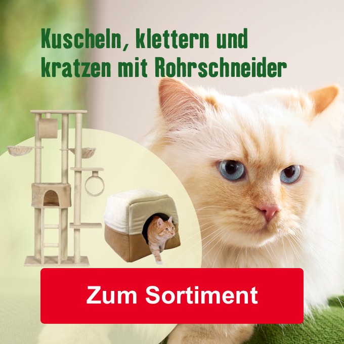 Kuscheln, klettern und kratzen mit Rohrschneider