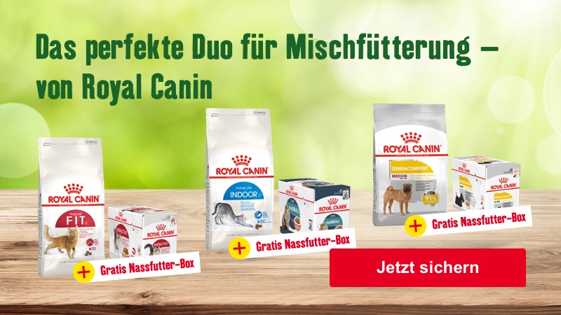 Das perfekte Duo für Mischfütterung - von Royal Canin