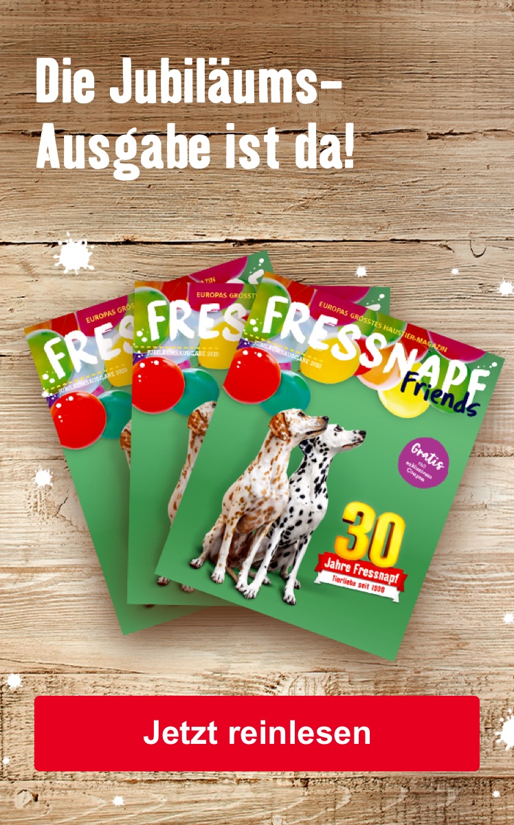 Die Jubiläums-Ausgabe ist da!