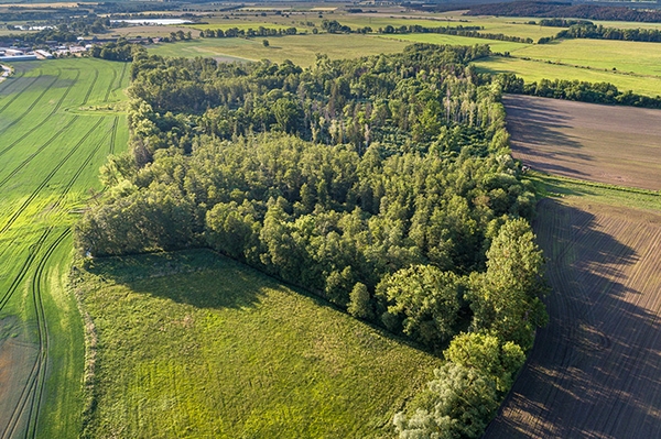 Waldinseln für die Vogelwelt gerettet
97 Hektar Wald in Nordbrandenburg in sicherer Stiftungshand