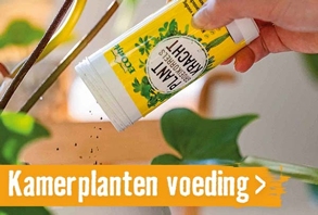 Kamerplanten voeding | HORNBACH