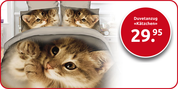 Duvetanzug «Kätzchen» 160 x 210 cm + Pfulmenanzug 65 x 100 cm