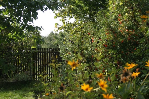 10 einfache Gartentipps So summt und zwitschert es auch in Ihrem Garten