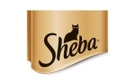 Sheba ontdekken!