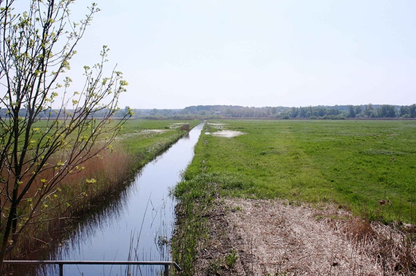 NABU gewinnt vor Gericht Pestizid-Einsatz: Niedersachsen muss Einsatzdaten speichern