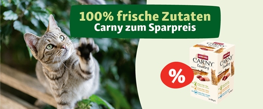 100% frische Zutaten Carny zum Sparpreis