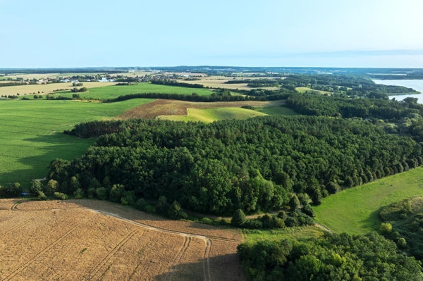 Insel der Artenvielfalt gerettet
NABU-Stiftung erwirbt Eichenwald bei Klein Nemerow