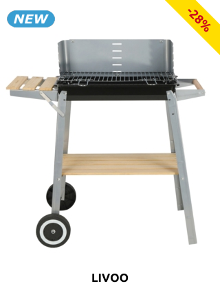 Livoo Holzkohle-Grill