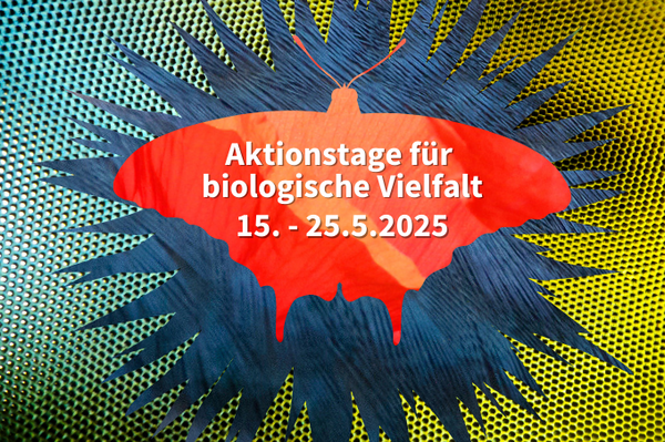 Aktionstage für biologische Vielfalt Biodiversität erleben