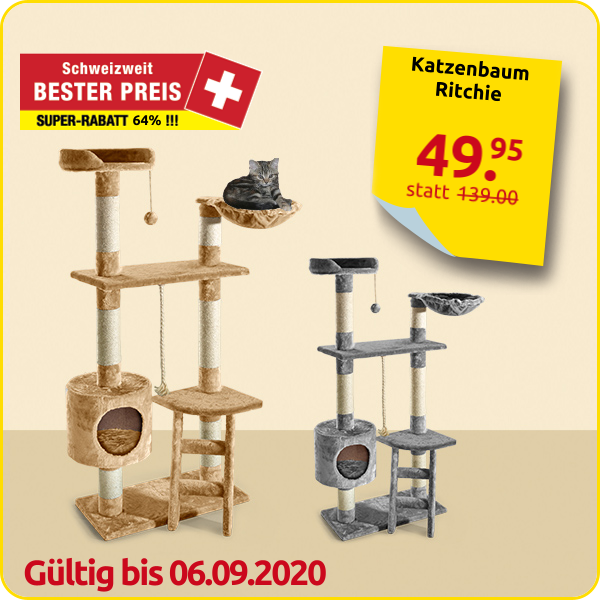 Katzenbaum Ritchie mit Leiter, grau