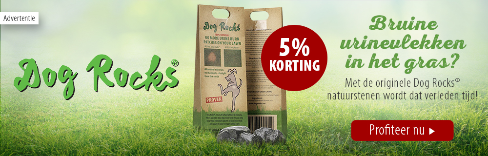 5% korting! Dog Rocks