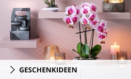 Geschenkideen