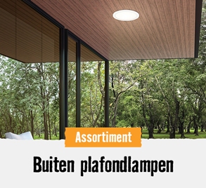 Buiten plafondlampen | HORNBACH