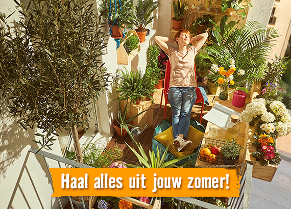 Haal alles uit jouw zomer! . HORNBACH . Verkoelende prijzen