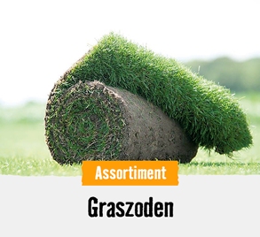 Graszoden | HORNBACH