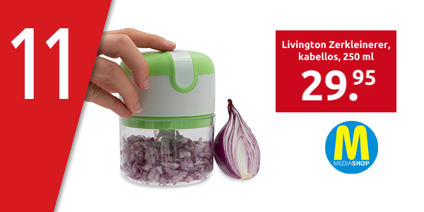 Livington Zerkleinerer «3 Seconds Chopper», kabellos, 250 ml