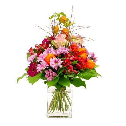 Septemberkollektion 2019