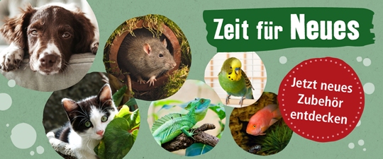 Zeit für Neues?