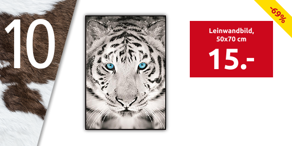 Leinwandbild «Tiger», 50x70 cm