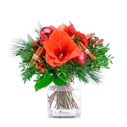 Amaryllis