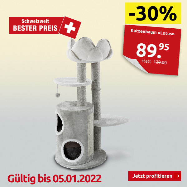 Katzenbaum «Lotus»