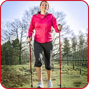 Trekking-Stöcke, Anti-Schockfederung