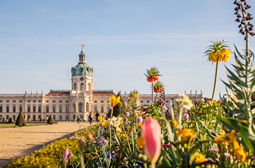Top 11 Romantic Places in Berlin
