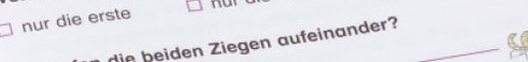 Der Newsletter Grundschule
