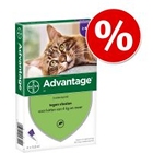 10% korting! 4 Pipetten Advantage® voor katten