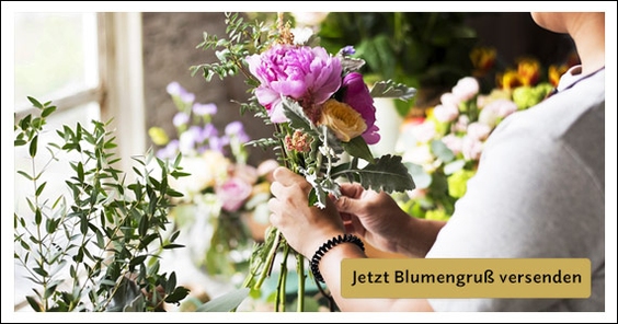Zur Kollektion