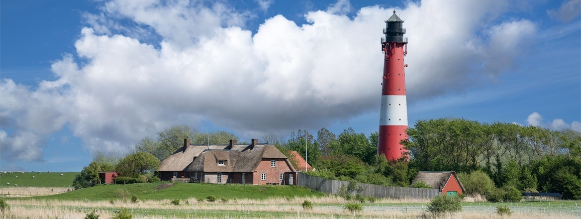 Mit dem DaF-Dossier in den Norden (Bild: Shutterstock.com/Wirestock Creators)