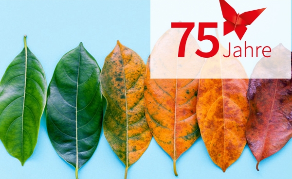 Der Newsletter Grundschule | stock.adobe.com/kerdkanno