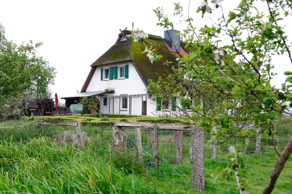 Hofcafé des NABU-Schäferhofs ab sofort geöffnet Der Ruhe lauschen und hausgemachten Kuchen genießen