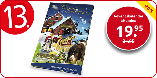 Adventskalender «Hunde»