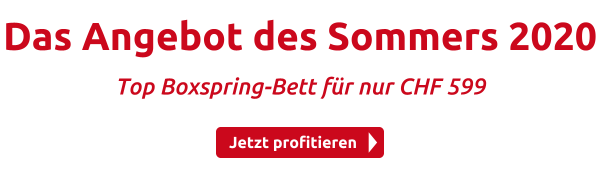 Das Angebot des Sommers 2020