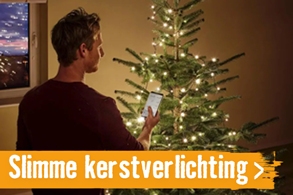 Slimme kerstverlichting . HORNBACH