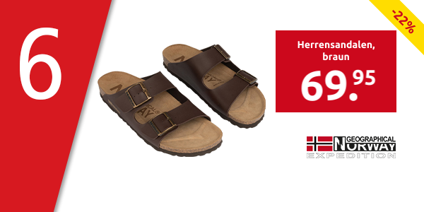 Geographical Norway Expedition Herrensandalen, braun