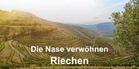 Die Nase verwöhnen - Riechen