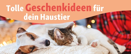 Geschenkideen für deinen Liebling