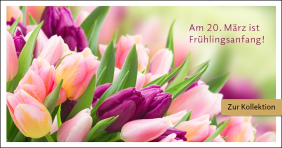 Amaryllis