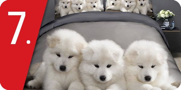 Garnitur «Puppies»