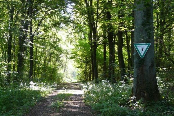 Bericht zur Lage der Natur 2020 Natur in Baden-Württemberg braucht weitere Investitionen